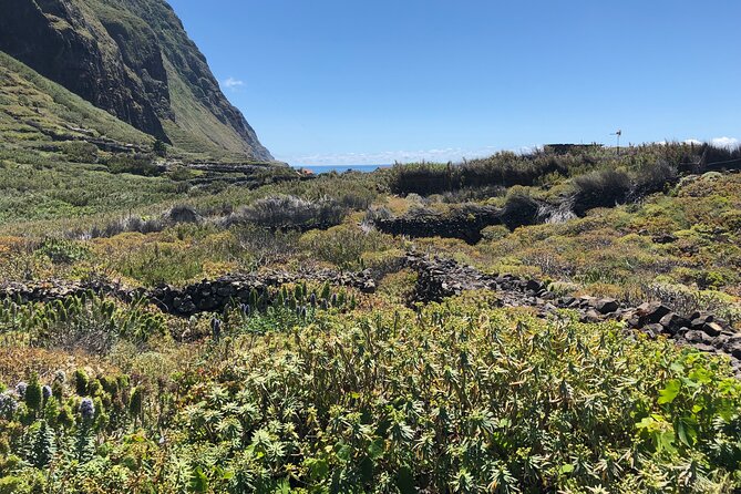 Madeira: Private Guided Half-Day Tour of Northwest Madeira - The Sum Up