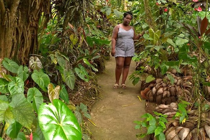 Montreal Gardens Tour in St. Vincent  - Kingstown - The Sum Up
