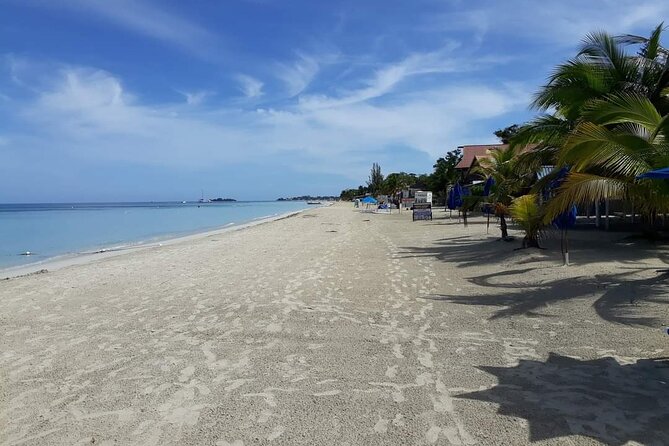 Negril 7 Miles Beach and Ricks Cafe Tour - The Sum Up