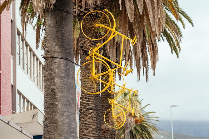 Off the Beaten Track in Cape Town: Private City Tour - Questions and Assistance