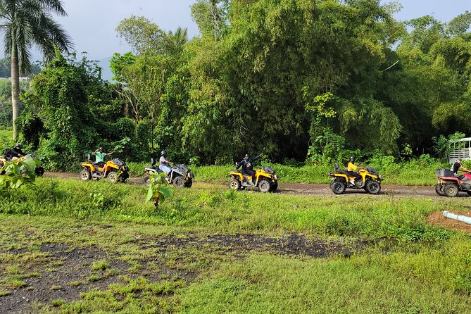Oneway Transfer San Juan to Ceiba: Ferry, Vieques/Culebra Airport - Tips for a Smooth Transfer