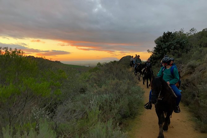 Paarl Small-Group Horseback Riding Tour  - Stellenbosch - Tour Details