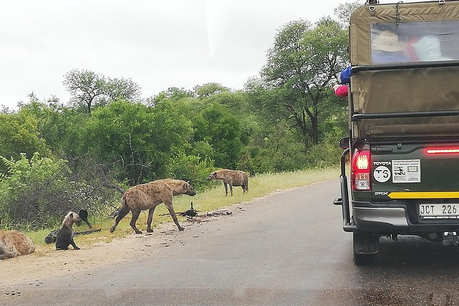 Pilanesberg Full Day Safari Private - Whats Included in the Tour