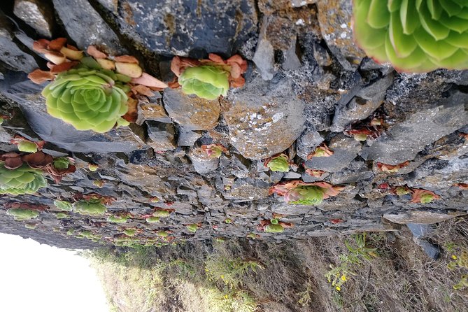 Ponta De Sao Lourenco Private Hike From Funchal - The Sum Up
