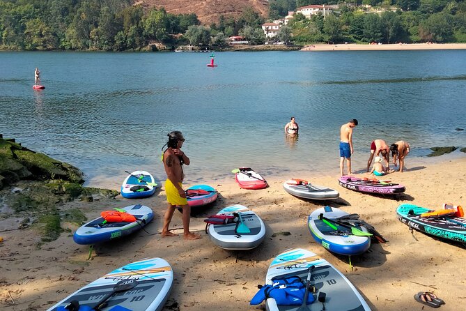 Porto Private Stand-Up Paddle River Tour With Pickup - The Sum Up