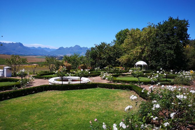 Private Cape Winelands From Stellenbosch or Franschhoek or Paarl - Inclusions: What to Expect on the Tour