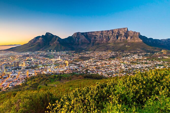 Private Day Tour to Cape of Good Hope, Penguins, Wine Tasting - Good To Know