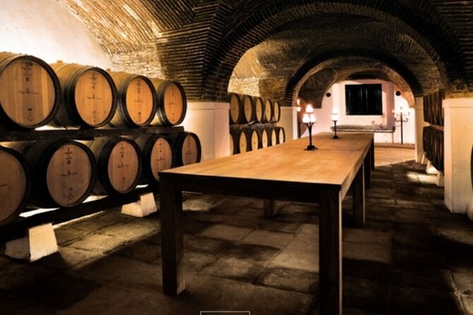 Private Full Day Evora & Alentejo Wine Tour From Lisbon - Customer Testimonials