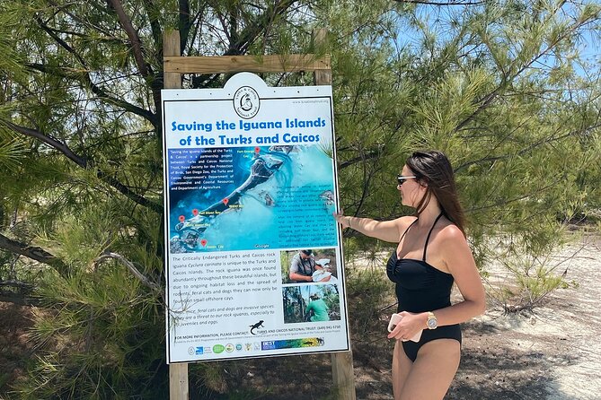 Private Half-Day Island Mirage Tour From Providenciales - What to Expect on the Tour