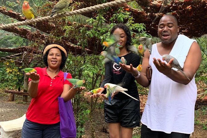 Private Konoko Falls and Blue Hole Combo Tour From Ocho Rios - The Sum Up