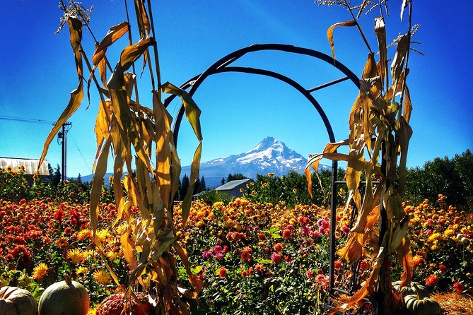 Private Mt Hood Loop Tour Including Multnomah Falls - Pricing and Group Size Options