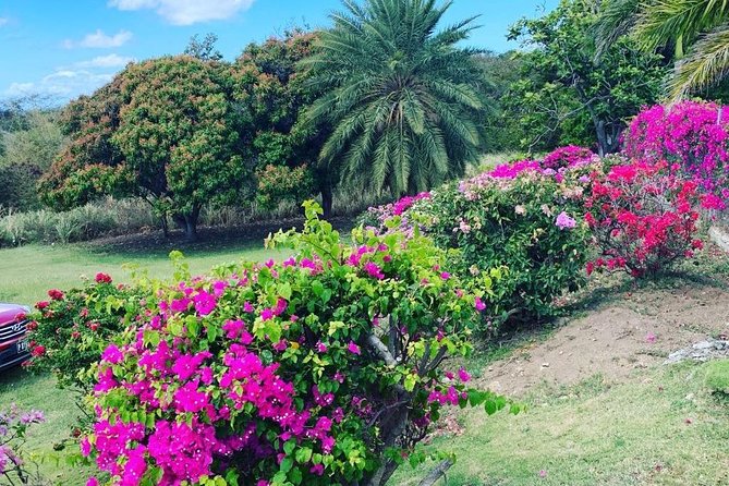 Private Tour in St. Kitts - Common Questions