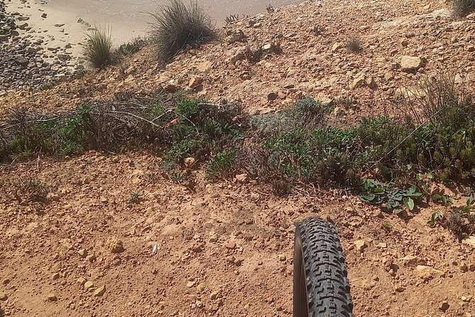 Rent a Mountain Bike and Explore Lagos and Algarve in Portugal - Common Questions