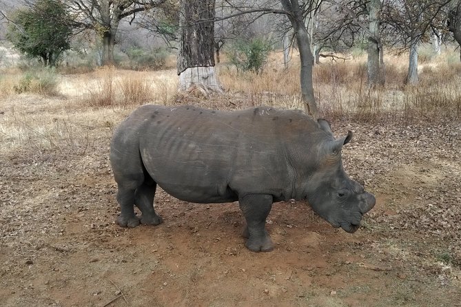 Rietvlei Nature Reserve Half-Day Tour From Pretoria, Every TUESDAY - Duration and Schedule of the Half-Day Tour