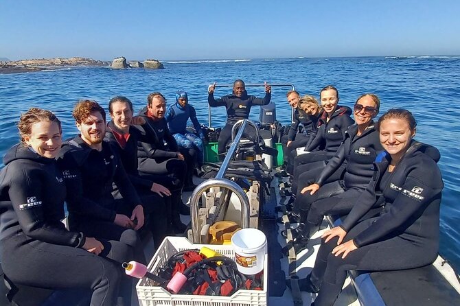 Seal Snorkeling Experience in Cape Town - Reviews and Traveler Experiences