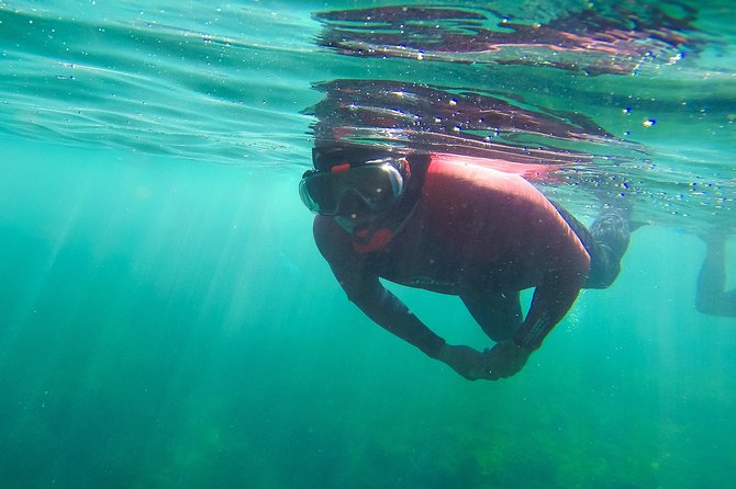 Sesimbra Small-Group Snorkeling Tour  - Setubal District - Possibility of Observing Dolphins