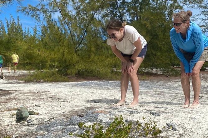 Shipwreck, Tiki Bar & Iguana Island Private Jet Ski Tour - Common Questions