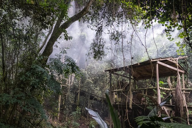 Skip the Line: Birds of Eden Admission Ticket - Tips for a Great Visit