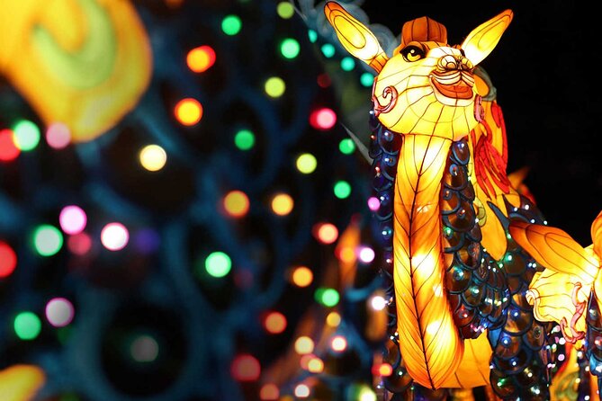 Skip-the-Line Dubai Glow Garden Combo Tickets - The Sum Up