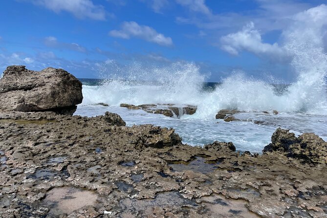South Bonaire Private Island Tour - Common Questions