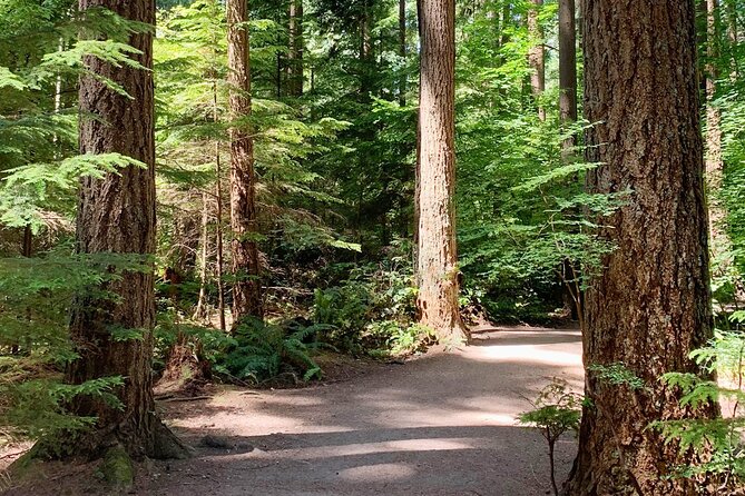 Spirit Of Vancouver Bike or Ebike Tour - The Sum Up