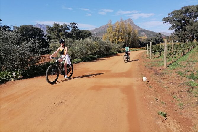 Stellenbosch Private E-Bike & Wine Tour - Tour Itinerary