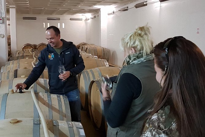 Stellenbosch Valley. Private Wine Tour With Winemaker in Swedish or English. - Scenic Vineyard Visits