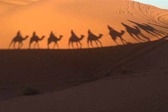 Sunset in Merzouga Sahara Desert & Camel Ride Erg Chebbi Dunes - Reviews and Ratings From Previous Travelers