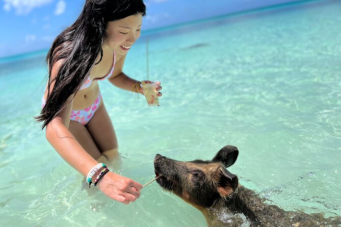 Swimming Pigs Tour on Rose Island - The Sum Up