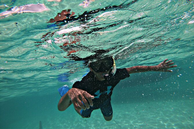The Best Boat Trip and Snorkeling Tours. All Inclusive - Clear Terms and Conditions for Booking and Cancellation