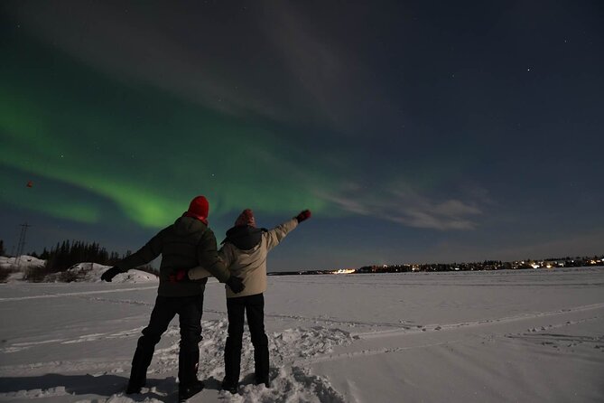 The Greatest Valuable Aurora Manor & Hunting Tour --Exclusive Tour Operator - Contact and Support