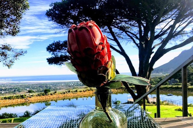 Three Day Private Tour: Table Mountain, City, Cape Peninsula and Winelands - Reviews and Ratings