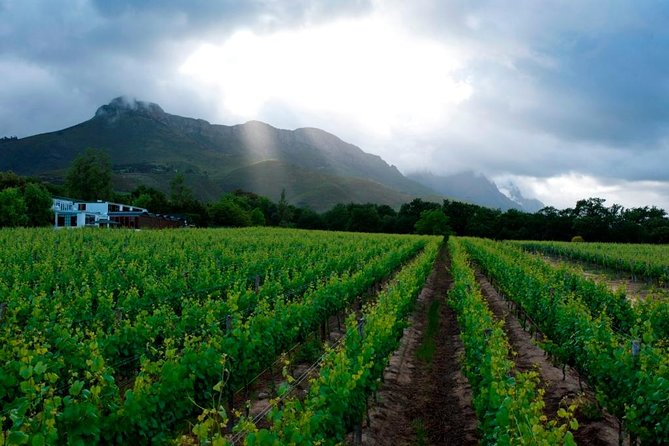 Vine Hopper: Hop-On Hop-Off Wine Tour - Eastern Route - Booking and Flexibility