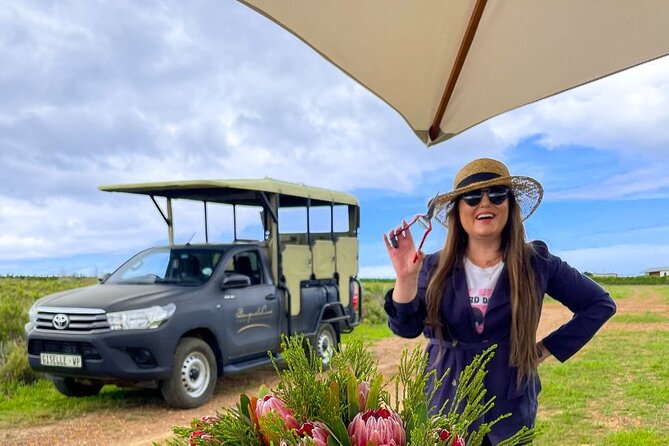 Vineyard Safari and Wine Tasting in Hermanus With Guide - Directions