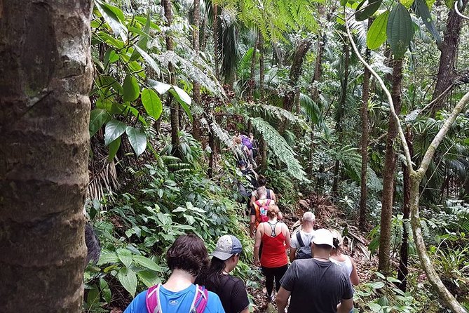 Volcano Crater Hiking Tour in St Kitts - Cancellation Policy and Refunds