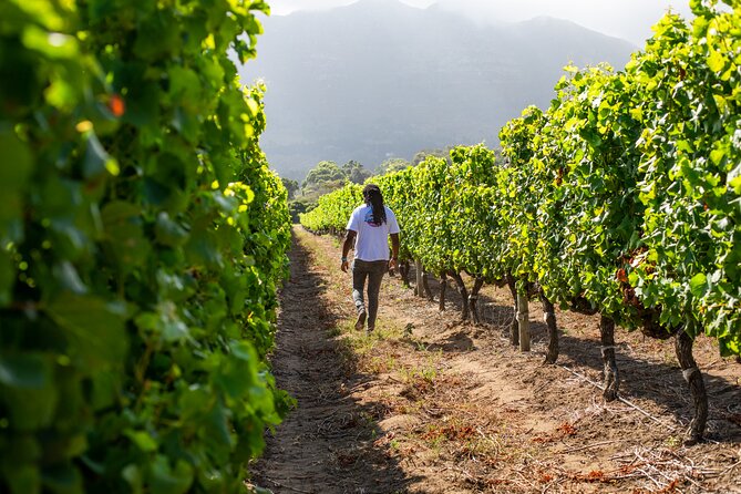 Wine Beer and Biltong Safari - Stellenbosch - Directions