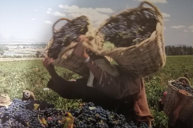Winelands Tour - Cancellation Policy