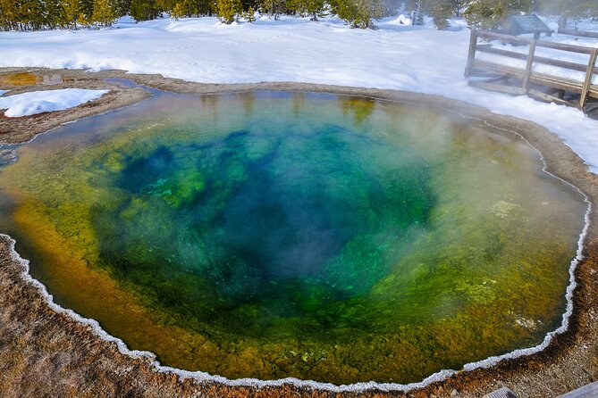 Yellowstone, Grand Teton & Utah Mighty 5 Winter Tour: Small Group 9-Day Tour - Accommodation and Transportation