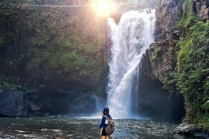 6h Private Tour in Ubud: Rice Terrace Swing, Temple, Waterfall - Good To Know