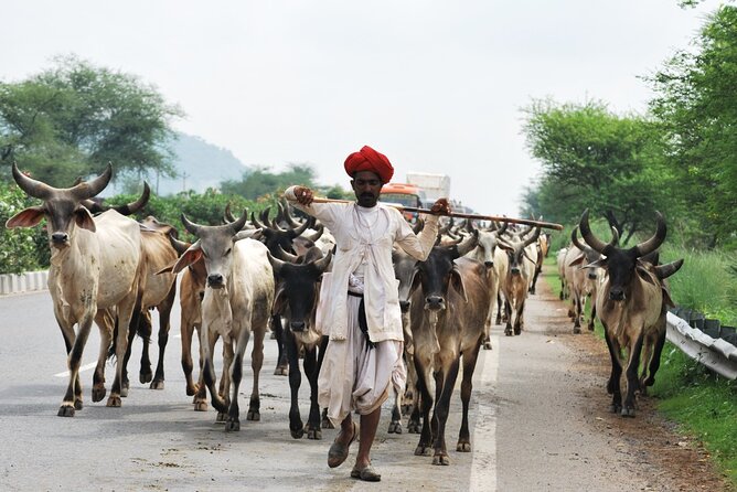 7 Day Golden Triangle With Udaipur-Delhi Agra Jaipur Udaipur Tour - Good To Know