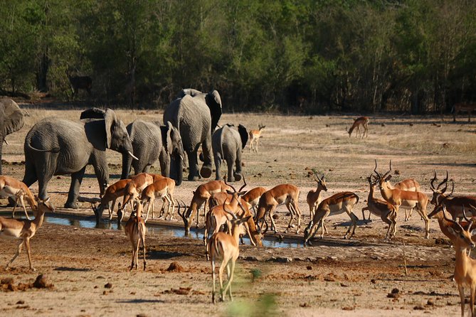 7-Day Kruger to Victoria Falls (Livingstone) (Adventure Accommodated Tour)