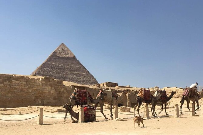 7-Day Private Guided Tour in Cairo, Luxor and Aswan - Good To Know