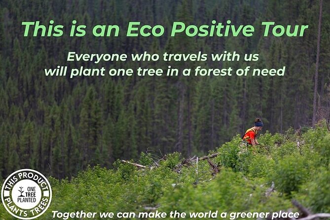 7-Day Tour to Yosemite, Las Vegas, Sedona, Monument Valley From San Francisco - Good To Know