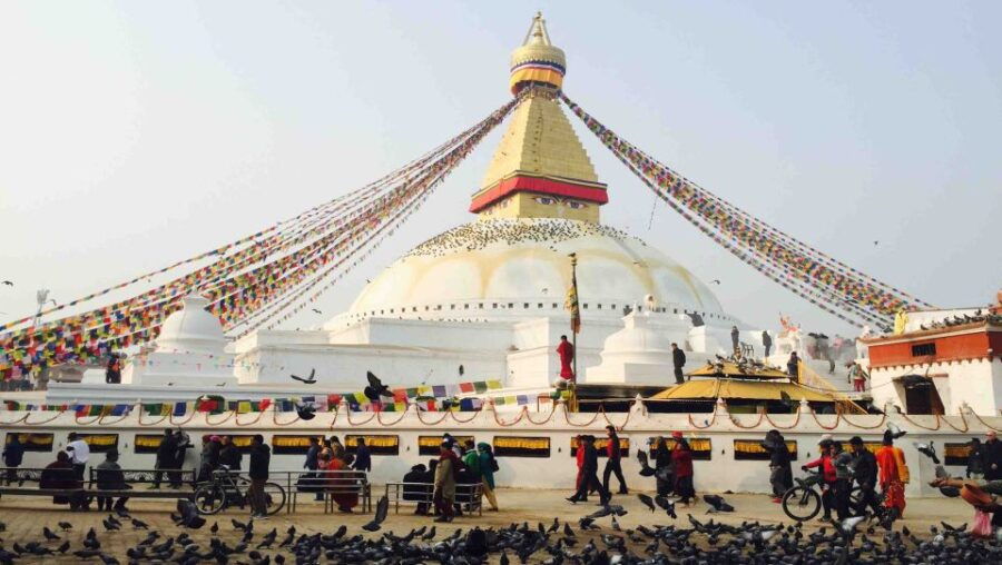 7 Days Kathmandu, Pokhara & Chitwan Safari Tour - Good To Know