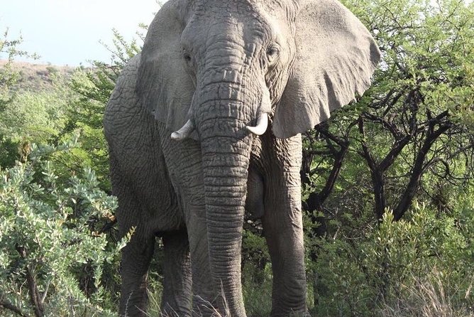 7 Days Kruger National Park Private Tour