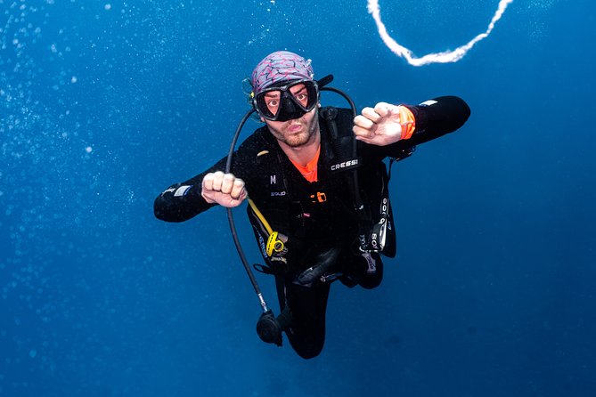 7 Fun Dives in Pemuteran (For Certified Divers) - Exploration in Menjangan Park - Good To Know