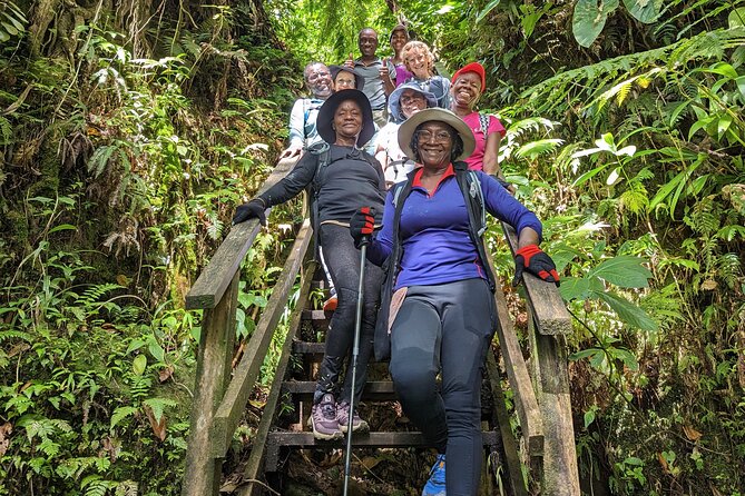 7 Hours Wildlife Discovery Tour in Dominica - Good To Know