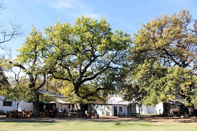1 Day Wine Lover Wander Connoisseur Tour With Private Transfers - The Sum Up