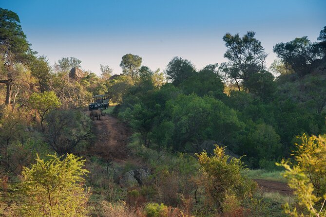 2 Day Pilanesberg Camping Safari - Assistance, Inquiries, and Pricing Information