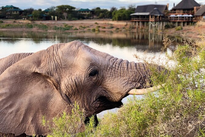 2 Day Small Group Garden Route Big 5 Safari Tour From Cape Town - Tour Price and Inclusions